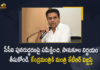 Minister KTR Appeals Piyush Goyal to Take Positive Decision to Revive CCI Unit in Adilabad, KTR Appeals Piyush Goyal to Take Positive Decision to Revive CCI Unit in Adilabad, Telangana Minister KTR Appeals Piyush Goyal to Take Positive Decision to Revive CCI Unit in Adilabad, Minister KTR Appeals Piyush Goyal, KTR Appeals Piyush Goyal, Telangana Minister KTR Appeals Piyush Goyal, Piyush Goyal to Take Positive Decision to Revive CCI Unit in Adilabad, Positive Decision to Revive CCI Unit in Adilabad, CCI Unit in Adilabad, Telangana appeals for revival of CCI unit, Union Minister Piyush Goyal, Union Minister, Adilabad CCI Unit News, Adilabad CCI Unit Latest News, Adilabad CCI Unit Latest Updates, Adilabad CCI Unit Live Updates, Working President of the Telangana Rashtra Samithi, Telangana Rashtra Samithi Working President, TRS Working President KTR, Telangana Minister KTR, KT Rama Rao, Minister KTR, Minister of Municipal Administration and Urban Development of Telangana, KT Rama Rao Minister of Municipal Administration and Urban Development of Telangana, KT Rama Rao Information Technology Minister, KT Rama Rao MA&UD Minister of Telangana, Mango News, Mango News Telugu,