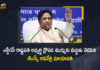 BSP Chief Mayawati Supports NDA Candidate Droupadi Murmu For Presidential Election, BSP Chief Mayawati Supports NDA Candidate Droupadi Murmu, Mayawati Supports NDA Candidate Droupadi Murmu For Presidential Election, Presidential Election, NDA Candidate Droupadi Murmu For Presidential Election, Bahujan Samaj Party Chief Mayawati Supports NDA Candidate Droupadi Murmu For Presidential Election, Bahujan Samaj Party Chief Mayawati, BSP Chief Mayawati, Bahujan Samaj Party, Mayawati, NDA Candidate Droupadi Murmu, Droupadi Murmu, NDA Candidate, Presidential Election News, Presidential Election Latest News, Presidential Election Latest Updates, Presidential Election Live Updates, Mango News, Mango News Telugu,