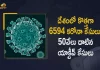India Reports 6594 Covid-19 Cases 6 Deaths in Last 24 Hours, India, India Covid-19, 6 Deaths Reported on India June 13th, 6594 new Covid-19 cases In India, India Covid-19 Updates, India Covid-19 Live Updates, India Covid-19 Latest Updates, Coronavirus, Coronavirus Breaking News, Coronavirus Latest News, COVID-19, India Coronavirus, India Coronavirus Cases, India Coronavirus Deaths, India Coronavirus New Cases, India Coronavirus News, India New Positive Cases, Total COVID 19 Cases, Coronavirus, Covid-19 Updates in India, India corona State wise cases, India coronavirus cases State wise, Mango News, Mango News Telugu,