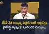 TDP Chief Chandrababu Slams YCP Govt Over High Court Comments on Demolition of Ex MLA Ayyanna Patrudu House, TDP Chief Chandrababu Slams YCP Govt, High Court Comments on Demolition of Ex MLA Ayyanna Patrudu House, Demolition of Ex MLA Ayyanna Patrudu House, Former MLA Ayyanna Patrudu House, Ex MLA Ayyanna Patrudu House, Ayyanna Patrudu House, TDP President Chandrababu Naidu, TDP Chief Chandrababu Naidu, Nara Chandrababu Naidu, Chandrababu Naidu, High Court Comments, YCP Govt, Demolition of Ex MLA Ayyanna Patrudu House News, Demolition of Ex MLA Ayyanna Patrudu House Latest News, Demolition of Ex MLA Ayyanna Patrudu House Latest Updates, Demolition of Ex MLA Ayyanna Patrudu House Live Updates, Mango News, Mango News Telugu,