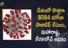 8084 New Covid-19 Cases 10 Deaths Reported in India in the Last 24 Hours, India, India Covid-19, 10 Deaths Reported on India June 12th, 8084 new Covid-19 cases In India, India Covid-19 Updates, India Covid-19 Live Updates, India Covid-19 Latest Updates, Coronavirus, Coronavirus Breaking News, Coronavirus Latest News, COVID-19, India Coronavirus, India Coronavirus Cases, India Coronavirus Deaths, India Coronavirus New Cases, India Coronavirus News, India New Positive Cases, Total COVID 19 Cases, Coronavirus, Covid-19 Updates in India, India corona State wise cases, India coronavirus cases State wise, Mango News, Mango News Telugu,