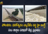 AP High Alert at Polavaram and Dhavaleshwaram Barrages Due To Heavy Flood Surge, AP High Alert at Dhavaleshwaram Barrage Due To Heavy Flood Surge, AP High Alert at Polavaram Barrage Due To Heavy Flood Surge, High Alert at Polavaram and Dhavaleshwaram Barrages, Polavaram and Dhavaleshwaram Barrages, Dhavaleshwaram Barrage, Polavaram Barrage, Heavy Flood Surge, Heavy Flood Surge In AP, Heavy Flood Surge In AP News, Heavy Flood Surge In AP Latest News, Heavy Flood Surge In AP Latest Updates, Heavy Flood Surge In AP Live Updates, AP High Alert, Mango News, Mango News Telugu,
