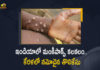 India First Monkeypox Case Reported in Kerala Centre Rushes High-Level Team, Centre Rushes High-Level Team, India First Monkeypox Case Reported in Kerala, Monkeypox Case Reported in Kerala, Indias 1st monkeypox case reported in Kerala, Kerala Health Minister Veena George said That A Monkeypox positive case has been reported, A Monkeypox positive case has been reported In Kerala, Kerala Health Minister Veena George, Minister Veena George, Kerala Health Minister, Veena George, Monkeypox positive case, Monkeypox, Kerala Monkeypox positive case News, Kerala Monkeypox positive case Latest News, Kerala Monkeypox positive case Latest Updates, Kerala Monkeypox positive case Live Updates, Mango News, Mango News Telugu,