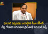 Telangana CM KCR Went to Warangal Will Conduct Aerial Survey of Godavari Catchment Areas Tomorrow, CM KCR Will Conduct Aerial Survey of Godavari Catchment Areas Tomorrow, Telangana CM KCR Went to Warangal, Telangana CM KCR will Conduct Aerial Survey in Godavari Catchment Areas Tomorrow in the Wake of Heavy Rains, KCR will Conduct Aerial Survey in Godavari Catchment Areas Tomorrow in the Wake of Heavy Rains, Aerial Survey in Godavari Catchment Areas Tomorrow in the Wake of Heavy Rains, Wake of Heavy Rains, Aerial Survey in Godavari Catchment Areas, Godavari Catchment Areas, Telangana CM KCR Aerial Survey in Godavari Catchment Areas, Telangana CM KCR Aerial Survey, CM KCR Aerial Survey, KCR Aerial Survey, CM KCR Aerial Survey News, CM KCR Aerial Survey Latest News, CM KCR Aerial Survey Latest Updates, CM KCR Aerial Survey Live Updates, Telangana CM KCR, K Chandrashekar Rao, Chief minister of Telangana, K Chandrashekar Rao Chief minister of Telangana, Telangana Chief minister, Telangana Chief minister K Chandrashekar Rao, Mango News, Mango News Telugu,