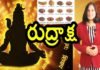 Interesting Facts About Rudraksha and Different Types of Rudraksha - YUVARAJ infotainment, Interesting Facts About Rudraksha,Different Types of Rudraksha,Lord Shiva,YUVARAJ infotainment, lord siva,rudraksha,shiva rudraksha mala,shiva rudraksh,rudraksha types,types of rudraksha, rudraksha mala,lord siva rudraksha,rudraksha spiritual meaning,rudraksha mythology,rudraksha facts, facts about rudraksha,unknown facts about rudraksha,unknown facts,interesting stories rudraksha story,rudraksha benefits,rudraksha health benefits,Mango News, Mango News Telugu,