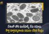 Union Health Ministry Releases Guidelines for Management of Monkeypox Disease, Guidelines for Management of Monkeypox Disease, Health Ministry Releases Guidelines for Management of Monkeypox Disease, Monkeypox Disease, India First Monkeypox Case Reported in Kerala Centre Rushes High-Level Team, Centre Rushes High-Level Team, India First Monkeypox Case Reported in Kerala, Monkeypox Case Reported in Kerala, Indias 1st monkeypox case reported in Kerala, Kerala Health Minister Veena George said That A Monkeypox positive case has been reported, A Monkeypox positive case has been reported In Kerala, Kerala Health Minister Veena George, Minister Veena George, Kerala Health Minister, Veena George, Monkeypox positive case, Monkeypox, Monkeypox Guidelines News, Monkeypox Guidelines Latest News, Monkeypox Guidelines Latest Updates, Monkeypox Guidelines Live Updates, Mango News, Mango News Telugu,