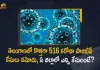 Telangana Records 516 New Covid-19 Cases 434 Recoveries on July 2, Telangana, Telangana Covid-19, 434 Recoveries Reported on Telangana July 2nd, 516 new Covid-19 cases In Telangana, Telangana Covid-19 Updates, Telangana Covid-19 Live Updates, Telangana Covid-19 Latest Updates, Coronavirus, Coronavirus Breaking News, Coronavirus Latest News, COVID-19, Telangana Coronavirus, Telangana Coronavirus Cases, Telangana Coronavirus Deaths, Telangana Coronavirus New Cases, Telangana Coronavirus News, Telangana New Positive Cases, Total COVID 19 Cases, Coronavirus, COVID-19, Covid-19 Updates in Telangana, Telangana corona district wise cases, Telangana coronavirus cases district wise, Mango News, Mango News Telugu,