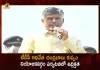 AP High Tension Prevails During TDP Chief Chandrababu's Visit of Kuppam Constituency Today, TDP Chief Chandrababu's Visit of Kuppam Constituency Today, Kuppam Constituency, Tension prevailed in Kuppam constituency, TDP Chief Nara Chandrababu Naidu Kuppam Tour, Chandrababu Naidu Kuppam Tour, High Tension in Kuppam constituency, Nara Chandrababu Naidu, Chandrababu Naidu Kuppam Visit, Chandrababu Naidu Kuppam Tour News, Chandrababu Naidu Kuppam Tour Latest News And Updates, Chandrababu Naidu Kuppam Tour Live Updates, Mango News, Mango News Telugu