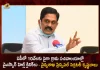 AP Over 10000 Village Secretariats Recognised For YSR Clinics Says Health Principal Secretary Krishna Babu, AP Health Principal Secretary Krishna Babu, Over 10000 Village Secretariats Recognised For YSR Clinics, 10000 Village Secretariats, Village Secretariats, YSR Health Clinics, AP CM YS Jagan Mohan Reddy, AP Health Principal Secretary, Krishna Babu, YSR Health Clinics News, YSR Health Clinics Latest News And Updates, YSR Health Clinics Live Updates, Mango News, Mango News Telugu,