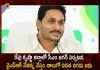 CM YS Jagan to Release Fourth Phase YSR Nethanna Nestham Funds tomorrow at Pedana, Fourth Phase YSR Nethanna Nestham Funds, YSR Nethanna Nestham Funds, AP CM YS Jagan Pedana visit, AP CM YS Jagan Pedana Tour, YSR Nethanna Nestham, 2022 YSR Nethanna Nestham, AP CM YS Jagan Mohan Reddy, Pedana, YSR Nethanna Nestham News, YSR Nethanna Nestham Latest News And Updates, YSR Nethanna Nestham Live Updates, Mango News, Mango News Telugu,