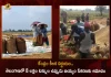 Centre Gives Approval For The Procurement of 8 Lakh Tonnes of Rice From Telangana, Procurement of 8 Lakh Tonnes of Rice From Telangana, 8L tonnes of parboiled rice, Centre approved procurement From Telangana, parboiled rice, Centre Govt, 8 Lakh Tonnes of Rice, Telangana Rice Procurement, Telangana Rice Procurement News, Telangana Rice Procurement Latest News, Telangana Rice Procurement Latest Updates, Telangana Rice Procurement Live Updates, Mango News, Mango News Telugu,