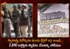 Delhi on High Alert After Police Recovers Huge Amount of 2000 Live Cartridges Ahead of Independence Day, Police Recovers Huge Amount of 2000 Live Cartridges Ahead of Independence Day, Delhi on High Alert, Police Recovers Huge Amount of 2000 Live Cartridges, 2000 Live Cartridges, 75th Independence Day, Independence Day, Independence Day Celebrations, Big terror attack plot In Delhi, Delhi News, Delhi Latest News, Delhi Latest Updates, Delhi Live Updates, 2200 ammunition, Mango News, Mango News Telugu,