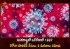 Maharashtra Corona Updates 1887 New Positive Cases 6 Deaths Reported on August 25th, Maharashtra, Maharashtra Covid-19, 6 Deaths Reported on Maharashtra August 25th, 1887 new Covid-19 cases In Maharashtra, Maharashtra Covid-19 Updates, Maharashtra Covid-19 Live Updates, Maharashtra Covid-19 Latest Updates, Coronavirus, Coronavirus Breaking News, Coronavirus Latest News, COVID-19, Maharashtra Coronavirus, Maharashtra Coronavirus Cases, Maharashtra Coronavirus Deaths, Maharashtra Coronavirus New Cases, Maharashtra Coronavirus News, Maharashtra New Positive Cases, Total COVID 19 Cases, Coronavirus, COVID-19, Covid-19 Updates in Maharashtra, Maharashtra corona district wise cases, Maharashtra coronavirus cases district wise, Mango News, Mango News Telugu,