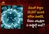 India Records 16047 New Corona Positive Cases 54 Deaths in Last 24 Hours, India, India Covid-19, 54 Deaths Reported on India August 9th, 16047 new Covid-19 cases In India, India Covid-19 Updates, India Covid-19 Live Updates, India Covid-19 Latest Updates, Coronavirus, Coronavirus Breaking News, Coronavirus Latest News, COVID-19, India Coronavirus, India Coronavirus Cases, India Coronavirus Deaths, India Coronavirus New Cases, India Coronavirus News, India New Positive Cases, Total COVID 19 Cases, Coronavirus, Covid-19 Updates in India, India corona State wise cases, India coronavirus cases State wise, Mango News, Mango News Telugu,