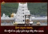 TTD to Release Online Quota of Special Entry Darshan Tickets for October Month on August 18, Online Quota of Special Entry Darshan Tickets for October Month on August 18, TTD to Release Online Quota of Special Entry Darshan Tickets, Online Quota of Special Entry Darshan Tickets, Special Entry Darshan Tickets, Online Quota, Tirumala Tirupati Devasthanam, TTD Special darshan ticket, TTD Online Booking, Special Entry Darshan Tickets News, Special Entry Darshan Tickets Latest News And Updates, Special Entry Darshan Tickets Live Updates, Mango News, Mango News Telugu,