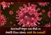 Telangana Corona Updates 435 Positive Cases Reported on August 18th, Telangana, Telangana Covid-19, 612 recoveries Reported on Telangana August 19th, 435 new Covid-19 cases In Telangana, Telangana Covid-19 Updates, Telangana Covid-19 Live Updates, Telangana Covid-19 Latest Updates, Coronavirus, Coronavirus Breaking News, Coronavirus Latest News, COVID-19, Telangana Coronavirus, Telangana Coronavirus Cases, Telangana Coronavirus Deaths, Telangana Coronavirus New Cases, Telangana Coronavirus News, Telangana New Positive Cases, Total COVID 19 Cases, Coronavirus, COVID-19, Covid-19 Updates in Telangana, Telangana corona district wise cases, Telangana coronavirus cases district wise, Mango News, Mango News Telugu,