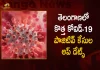 Telangana New Corona Positive Cases Update on August 30th, Telangana Records 190 New Corona Positive Cases , Telangana Logs 190 New COVID-19 Cases, 190 New Covid19 Cases Reported In Telangana, New COVID19 Cases in Telangana , Mango News, Mango News Telugu, COVID-19 Latest News And Updates, Coronavirus Disease, COVID19 News And Live Updates, COVID19 Vaccine, 190 Covid-19 Positive Cases In Telangana, Coronavirus XE Variant, Boster Dose