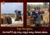 Centre Gives Approval For The Procurement of 8 Lakh Tonnes of Rice From Telangana, Procurement of 8 Lakh Tonnes of Rice From Telangana, 8L tonnes of parboiled rice, Centre approved procurement From Telangana, parboiled rice, Centre Govt, 8 Lakh Tonnes of Rice, Telangana Rice Procurement, Telangana Rice Procurement News, Telangana Rice Procurement Latest News, Telangana Rice Procurement Latest Updates, Telangana Rice Procurement Live Updates, Mango News, Mango News Telugu,