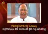 Telangana Council Chairman Gutha Sukender Reddy Interesting Comments on Komatireddy Rajagopal Reddy, Telangana Council Chairman Interesting Comments on Komatireddy Rajagopal Reddy, Telangana Council Chairman Sensational Comments on Komatireddy Rajagopal Reddy, Gutha Sukender Reddy Interesting Comments on Komatireddy Rajagopal Reddy, Gutha Sukender Reddy Comments on Komatireddy Rajagopal Reddy, Interesting Comments on Komatireddy Rajagopal Reddy, Sensational Comments on Komatireddy Rajagopal Reddy, Telangana Council Chairman Gutha Sukender Reddy, Gutha Sukender Reddy, Telangana Council Chairman, Congress Ex-MLA Komatireddy Rajagopal Reddy, Congress Former MLA Komatireddy Rajagopal Reddy, Ex-MLA Komatireddy Rajagopal Reddy, Komatireddy Rajagopal Reddy News, Komatireddy Rajagopal Reddy Latest News, Komatireddy Rajagopal Reddy Latest Updates, Komatireddy Rajagopal Reddy Live Updates, Mango News, Mango News Telugu,
