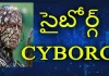 Most Interesting Facts About Cyborg YUVARAJ infotainment, What Is Cyborg?,Most Interesting Facts About Cyborg You Should Know,Yuvaraj Infotainment,Cyborg Meaning,What Is Cyborg,Cyborg Facts,Cyborg Uses,Cyborg Creation,Cyborg Origin,Cyborg Origin Story,Elon Musk Cyborg,Elon Musk About Cyborg,Cyborg Elon Musk,Unknown Facts About Cyborg,Facts About Cyborg,Things You Need To Know About Cyborg,Cyborg Human,Cyborg Human Evolution,Cyborg,Elon Musk,Interesting Facts,Unknown Facts,Interesting Facts Telugu,Technology, Mango News, Mango News Telugu