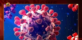 India Records 5383 New Covid Cases, 33 Covid Deaths September 7th, Mango News, Mango News Telugu, India Logs 5383 Covid Positive Cases, 6395 New COVID19 Cases In Telangana, COVID19 Cases In India, Carona Live Updates, Covid19 News And Latest Updates, Covid19 Vaccine, COVID New Variant, Booster Dose, India COVID News, 5383 New Covid Cases, 5383 India COVID-19 Cases