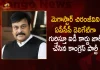 Congress Issues Identity Card For Megastar Chiranjeevi as APCC Delegate Ahead of Party Presidential Elections, Congress Issues Identity Card For Chiranjeevi, Identity Card For Chiranjeevi, Megastar Chiranjeevi, APCC Delegate Identity Card Issued, APCC Delegate, Congress APCC Delegate, Party Presidential Elections, Mango News, Mango News Telugu, All India National Congress , Congress Party, Megastar Chiranjeevi Latest News And Updates