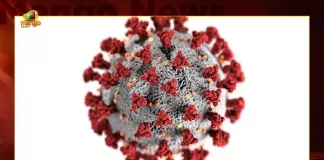 India Reports 5910 Covid-19 Positive Cases 9 Deaths in Last 24 Hours, 5910 New COVID Cases In 24 Hours,Mango News,Mango New Telugu,Latest News Updates,COVID-19,COVID-19 Latest Updates,COVID-19 latest News,COVID-19 India Reports,COVID-19 Updates,COVID-19 India Reports New Cases,COVID-19 New Cases Updates,COVID-19 New Cases In 24 Hours,COVID-19 News Updates,latest COVID-19 Updates,COVID-19 New Cases in India,India COVID-19 Cases