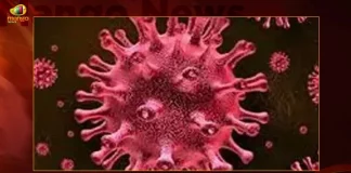 Telangana Corona Updates: 99 Positive Cases Reported on September 28th, Telangana Records 99 New Covid Cases, Covid Recoveries September 28th, Mango News, Mango News Telugu, Telangana Logs 99 Covid Positive Cases, 99 New COVID19 Cases In Telangana, COVID19 Cases In Telangana, Carona Live Updates, Covid19 News And Latest Updates, Covid19 Vaccine, COVID New Variant, Booster Dose, Telanagana COVID News