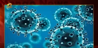 Telangana Covid-19 Updates 103 Positive Cases Reported on September 23, Telangana Records 103 New Covid Cases, Covid Recoveries September 23rd, Mango News, Mango News Telugu, Telangana Logs 103 Covid Positive Cases, 103 New COVID19 Cases In Telangana, COVID19 Cases In Telangana, Carona Live Updates, Covid19 News And Latest Updates, Covid19 Vaccine, COVID New Variant, Booster Dose, Telanagana COVID News