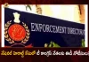 Telangana ED Issues Notices To T Congress Leaders in National Herald Case, ED Issues Notices To T-Congress Leaders, ED Issues Notices on National Herald Case, Telangana ED Issues Notices, Telangana ED Issues Notices To T-Congress Leaders, Mango News, Mango News Telugu, National Herald Case, National Herald Corruption Case, National Herald Case Latest News And Updates, T-Congress Leaders Got ED Notices, Telangana ED, ED National Herald Case, Directorate of Enforcement, Enforcement Directorate