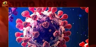 India Corona Updates : 3805 Positive Cases 26 Deaths Reported in the Last 24 Hours, India Records 3805 New Covid Cases, 26 Covid Deaths October 1st , Mango News, Mango News Telugu, India Logs 3805 Covid Positive Cases, 3805 New COVID19 Cases In Telangana, COVID19 Cases In India, Carona Live Updates, Covid19 News And Latest Updates, Covid19 Vaccine, COVID New Variant, Booster Dose, India COVID News