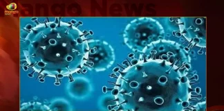 Telangana Records 93 Covid-19 Positive Cases 103 Recoveries on September 30, India Records 93 New Covid Cases, 103 Covid Recoveries , Mango News, Mango News Telugu, India Logs 93 Covid Positive Cases, 93 New COVID19 Cases In Telangana, COVID19 Cases In India, Carona Live Updates, Covid19 News And Latest Updates, Covid19 Vaccine, COVID New Variant, Booster Dose, India COVID News