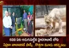 Wild Life Week and Zoo Day Celebrations held at Nehru Zoological Park Hyderabad, Wild Life Week Nehru Zoological Park, Zoo Day Celebrations Nehru Zoological Park, Nehru Zoological Park , Mango News, Mango News Telugu, Wildlife Week Celebrated At Nehru Zoo Park, Nehru Zoo Park, Nehru Zoological Completes 60 Years, Nehru Zoological Park 3 New Attractions, Nehru Zoological Park Latest News And Updates, Hyderabad Zoo Enters 60Th Year, Zoological Park Added New Attractions