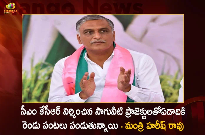 Telangana Farmers Getting Two Crops in a Year by The Irrigation Projects Built by CM KCR Says Minister Harish Rao, Telangana Farmers Getting Two Crops, Irrigation Projects Built by CM KCR , CM KCR Says Minister Harish Rao, Minister Harish Rao, Mango News,Mango News Telugu, Munugode Bypoll, CM KCR News And Live Updates, Telangna Congress Party, Telangna BJP Party, YSRTP , Munugode By Polls, Munugode Election Schedule Release, Munugode Election, Munugode Election Latest News And Updates