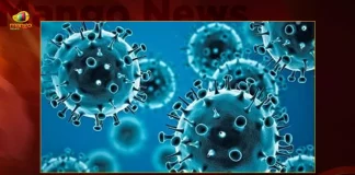 279 Corona Positive Cases 5 Deaths Reported in India in Last 24 Hours,5 Covid Deaths,Covid Last 24 Hours, 279 People Tested Positive,Coronavirus In India,Mango News,Mango News Telugu,Covid In India,Covid,Covid-19 India,Covid-19 Latest News And Updates,Covid-19 Updates,Covid India,India Covid,Covid News And Live Updates,Carona News,Carona Updates,Carona Updates,Cowaxin,Covid Vaccine,Covid Vaccine Updates And News,Covid Live
