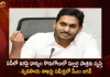 AP CM Jagan Held Review Meet on Agriculture Department Orders Officials Over Grain Collection in The State, AP CM YS Jagan Mohan Reddy,CM YS Jagan, Jagan Held Review Meet on Agriculture Department,Mango News,Mango News Telugu,Agriculture Department Orders Officials,Grain Collection in AP, Andhra Pradesh Latest News And Updates,AP CM Jagan Latest News And Live Updates,AP CM Jagan,Jagan Agriculture Department,Agriculture Department Meeting With Jagan