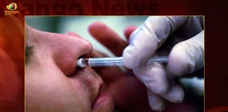 Bharat Biotech's Nasal Vaccine as COVID-19 Booster Dose Gets DGCI Nod For Emergency Usage,Bharat Biotech Nasal Vaccine,Covid-19 Booster Dose,DGCI Approval,Nasal Vaccine Emergency Use,Mango News,Mango News Telugu,Covid In India,Covid,Covid-19 India,Covid-19 Latest News And Updates,Covid-19 Updates,Covid India,India Covid,Covid News And Live Updates,Carona News,Carona Updates,Carona Updates,Cowaxin,Covid Vaccine,Covid Vaccine Updates And News,Covid Live
