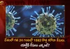 COVID-19 in India: 1082 Fresh Positive Cases 7 Deaths Reported in Last 24 Hours, India, India Covid-19, 7 Deaths Reported on India Nov 7th, 1082 new Covid-19 cases In India, India Covid-19 Updates, India Covid-19 Live Updates, India Covid-19 Latest Updates, Coronavirus, Coronavirus Breaking News, Coronavirus Latest News, COVID-19, India Coronavirus, India Coronavirus Cases, India Coronavirus Deaths, India Coronavirus New Cases, India Coronavirus News, India New Positive Cases, Coronavirus, COVID-19, Covid-19 Updates in India, Mango News, Mango News Telugu,