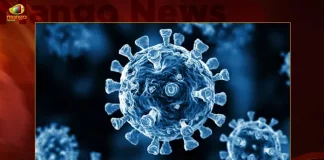 Corona in India: 406 Fresh Positive Cases 12 Deaths Reported in Last 24 Hours,India Records 406 New Covid Cases, 12 Covid Deaths Nov 21st, Mango News, Mango News Telugu, India Logs 406 Covid Positive Cases, 406 New COVID19 Cases In Telangana, COVID19 Cases In India, Carona Live Updates, Covid19 News And Latest Updates, Covid19 Vaccine, COVID New Variant, Booster Dose, India COVID News,India COVID,COVID