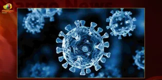 India Records 215 Corona Positive Cases 355 Recoveries in Last 24 Hours,355 Covid Recoveries,Covid Last 24 Hours, 215 People Tested Positive,Coronavirus In India,Mango News,Mango News Telugu,Covid In India,Covid,Covid-19 India,Covid-19 Latest News And Updates,Covid-19 Updates,Covid India,India Covid,Covid News And Live Updates,Carona News,Carona Updates,Carona Updates,Cowaxin,Covid Vaccine,Covid Vaccine Updates And News,Covid Live