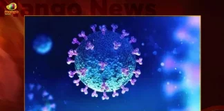 India Reports 294 New Corona Positive Cases 5 Deaths In Last 24 Hours,5 Covid Deaths,Covid Last 24 Hours, 294 People Tested Positive,Coronavirus In India,Mango News,Mango News Telugu,Covid In India,Covid,Covid-19 India,Covid-19 Latest News And Updates,Covid-19 Updates,Covid India,India Covid,Covid News And Live Updates,Carona News,Carona Updates,Carona Updates,Cowaxin,Covid Vaccine,Covid Vaccine Updates And News,Covid Live