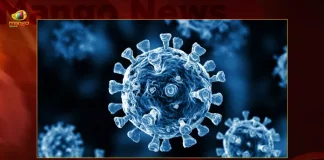 India Reports 842 Fresh Corona Positive Cases 6 Deaths in Last 24 Hours,India Records 842 New Covid Cases, 6 Covid Deaths Nov 11th, Mango News, Mango News Telugu, India Logs 842 Covid Positive Cases, 842 New COVID19 Cases In Telangana, COVID19 Cases In India, Carona Live Updates, Covid19 News And Latest Updates, Covid19 Vaccine, COVID New Variant, Booster Dose, India COVID News