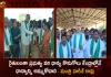 Minister Harish Rao Inaugurates Paddy Procurement Center in Siddipet District,Minister Harish Rao ,Harish Rao Inaugurates Paddy Procurement Center,Paddy Procurement Center in Siddipet District,Paddy Procurement Center,Mango News,Mango News Telugu, TRS Party, BRS Party, Telangana Politics Latest News And Updates, Telangana BJP Party, Telangana CM KCR, KTR, Kalavakuntla Kavitha, Telanagana TRS