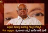 Ncp Chief Sharad Pawar Responds Over Maharashtra Governor Bhagat Singh Koshyari's Remarks On Shivaji Maharaj,Maharashtra Governor Koshyari,Koshyari Comments On Chhatrapati Shivaji,Maharashtra Governor On Chhatrapati Shivaji, Ncp Chief Sharad Pawar Responded,Ncp Chief Sharad Pawar,Mango News,Mango News Telugu,Chhatrapati Shivaji,Maharashtra Chhatrapati Shivaji,Chhatrapati Shivaji News And Updates,Ncp Chief Sharad Pawar News And Live Updates,Maharashtra Governor,Koshyari,Maharashtra Governor News And Updates,Maharashtra News And Live Updates