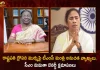 West Bengal CM Mamata Banerjee Apologises For TMC Minister Remarks on President Droupadi Murmu,West Bengal CM Mamata Banerjee,President Droupadi Murmu,TMC Minister Remarks on President,Mango News,Mango News Telugu,Trunamul Congress Party,Droupadi Murmu Presents National Florence ,Droupadi Murmu Latest News And Updates, Droupadi Murmu Nightingale Awards-2021, Nightingale Awards News