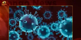 India Reports 166 New Corona Positive Cases 5 Deaths in Last 24 Hours,5 Covid Deaths,Covid Last 24 Hours, 166 People Tested Positive,Coronavirus In India,Mango News,Mango News Telugu,Covid In India,Covid,Covid-19 India,Covid-19 Latest News And Updates,Covid-19 Updates,Covid India,India Covid,Covid News And Live Updates,Carona News,Carona Updates,Carona Updates,Cowaxin,Covid Vaccine,Covid Vaccine Updates And News,Covid Live