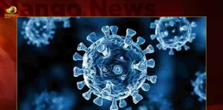 India Records 196 New Corona Positive Cases Vaccination Coverage Crosses 220.05 Cr Doses,India Corona Updates,196 New Positive Cases, 2 Deaths Reported in the Last 24 Hours,2 Covid Deaths,Covid Last 24 Hours, 196 People Tested Positive,Coronavirus In India,Mango News,Mango News Telugu,Covid In India,Covid,Covid-19 India,Covid-19 Latest News And Updates,Covid-19 Updates,Covid India,India Covid,Covid News And Live Updates,Carona News,Carona Updates,Carona Updates,Cowaxin,Covid Vaccine,Covid Vaccine Updates And News,Covid Live