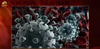 Union Govt issued New Guidelines, covid-19 new variant, Mango News, Mango News Telugu, covid-19 new variant 2022, covid-19 new variant news, new variant presents symptoms, Covid-19 Omicron Sub-Variant BF.7, Covid-19 Variant BF.7, Corona New Variant in India, new variant, new variant symptoms, COVID-19 variants, covid 19 new variant 2022, Union Govt, Omicron BF.7, covid-19 Latest News