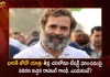 Bharat Jodo Yatra Rahul Gandhi Responds Over T-shirt Debate Reveals Reason Behind Not Wearing Sweater,Bharat Jodo Yatra HAryana,Arjuna Awardee Deepak Niwas Hooda,Female Boxer Saweety Boora,Meets Rahul Gandhi in Haryana,Mango News,Mango news Telugu,Bharat Jodo Yatra,Priyanka Gandhi Participate In Rahul's Yatra, Bharat Jodo Yatra Madhya Pradesh, Rahul Gandhi Bharat Jodo Yatra, Rahul Gandhi Congress, Rahul Gandhi Padha Yatra, Congress Party , Indian National Congress, Inc Latest News And Updates, Sonia Gandhi, Priyanka Gandhi, Rahul Gandhi, Congress President Mallikarjun