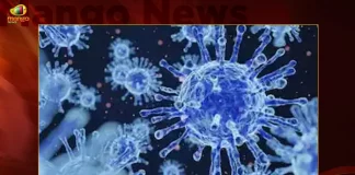 INSACOG Reports New Omicron Sub-variant XBB.1.5 First Case Found in Telangana,Xbb 1 5 Variant 2,Xbb 1 5 Variant 1,Xbb 1 5 Variant 4,Xbb 1 5 Variant 3,Xbb 1 5 Variant 5,Mango News,Mango News Telugu,XBB.1.5 Sub-variant Cases,INSACOG Announces Five Cases,INSACOG Announces Xbb 1 5 Variant Cases,BF7 Variant Cases,BF7 Variant Latest News and Updates,Omicron BF7 Symptoms,BF7 Variant Symptoms,BF7 Variant Severity,Omicron BF7 In India,BF7 Covid Variant,Ba 5 1 7 Variant,Omicron New Variant,Omicron New Variant In India,Omicron Bf.7 Symptoms,Bf.7 Variant Severity,Omicron Bf.7 In India,Ba 5.1 7 Variant,Bf.7 Variant,BF7 Variant In India,Bf.7 Variant Covid,Bf.7 Variant Cdc,Bf.7 Variant Canada,Bf.7 Variant Uk,Bf.7 Variant Belgium,Bf.7 Variant Mutations,Covid BF7 Variant,Omicron BF7 Variant,Covid BF7 Variant Symptoms